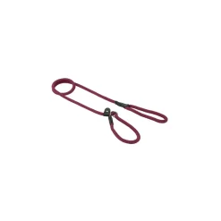 AniOne Laisses|Promener Son Chiot^Laisse en nylon retriever Activity rouge