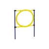AniOne Agility^Obstacle agility