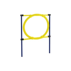 AniOne Agility^Obstacle agility