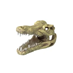 Europet Bernina Décoration^Crâne de crocodile