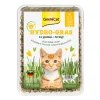 GimCat Nourriture Supplémentaire^Herbe Hydro 150 g