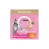 Purina ONE Croquettes Pour Chat|Nourriture^Croquettes Junior pour Chaton de 1 à 12 mois au Poulet 1,5 kg