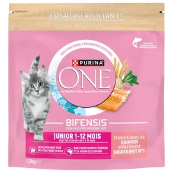 Purina ONE Croquettes Pour Chat|Nourriture^Croquettes Junior de 1 à 12 mois au Saumon 1,5 kg