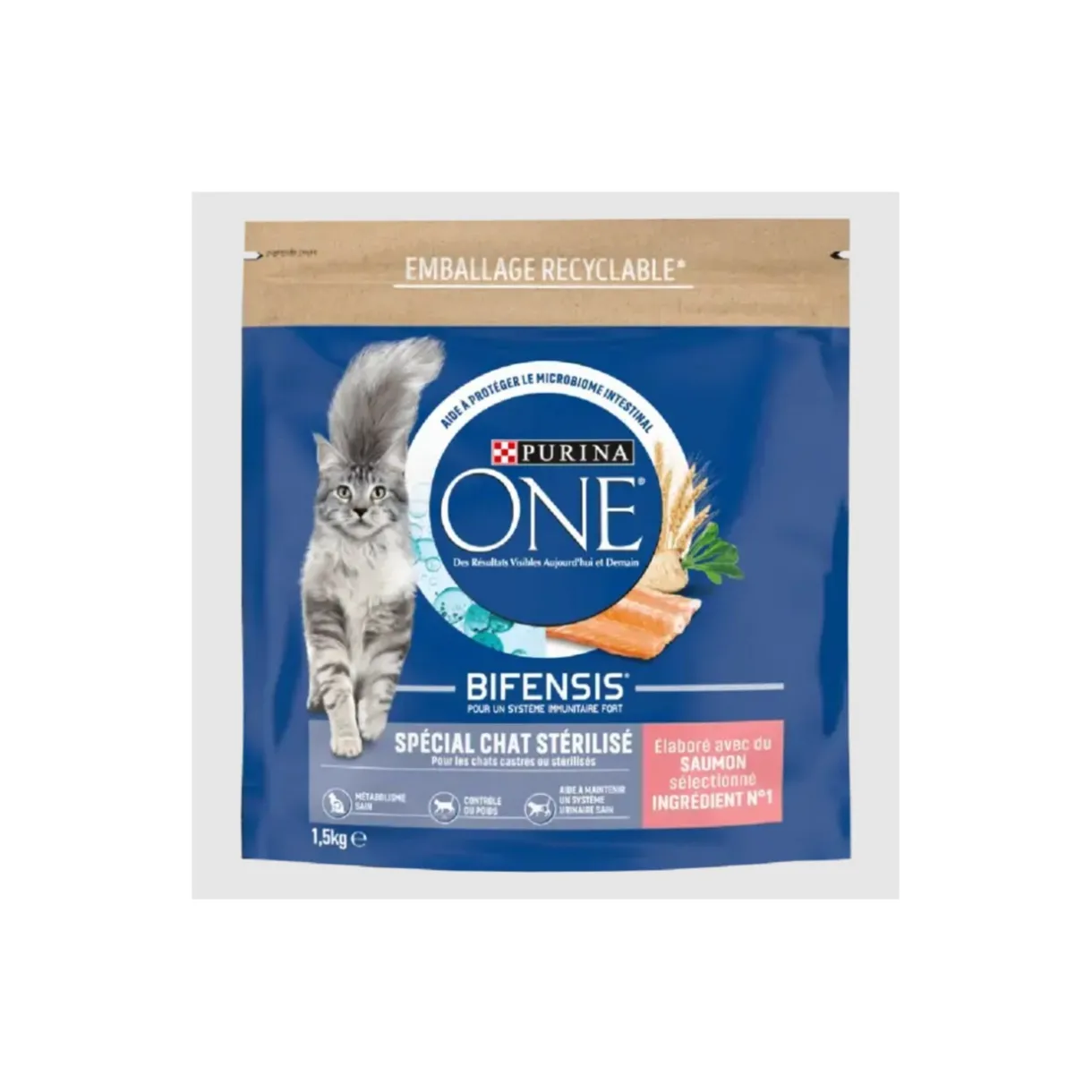 Purina ONE Croquettes Pour Chat^Croquettes pour Chat Stérilisé au Saumon et au Blé 1,5 kg