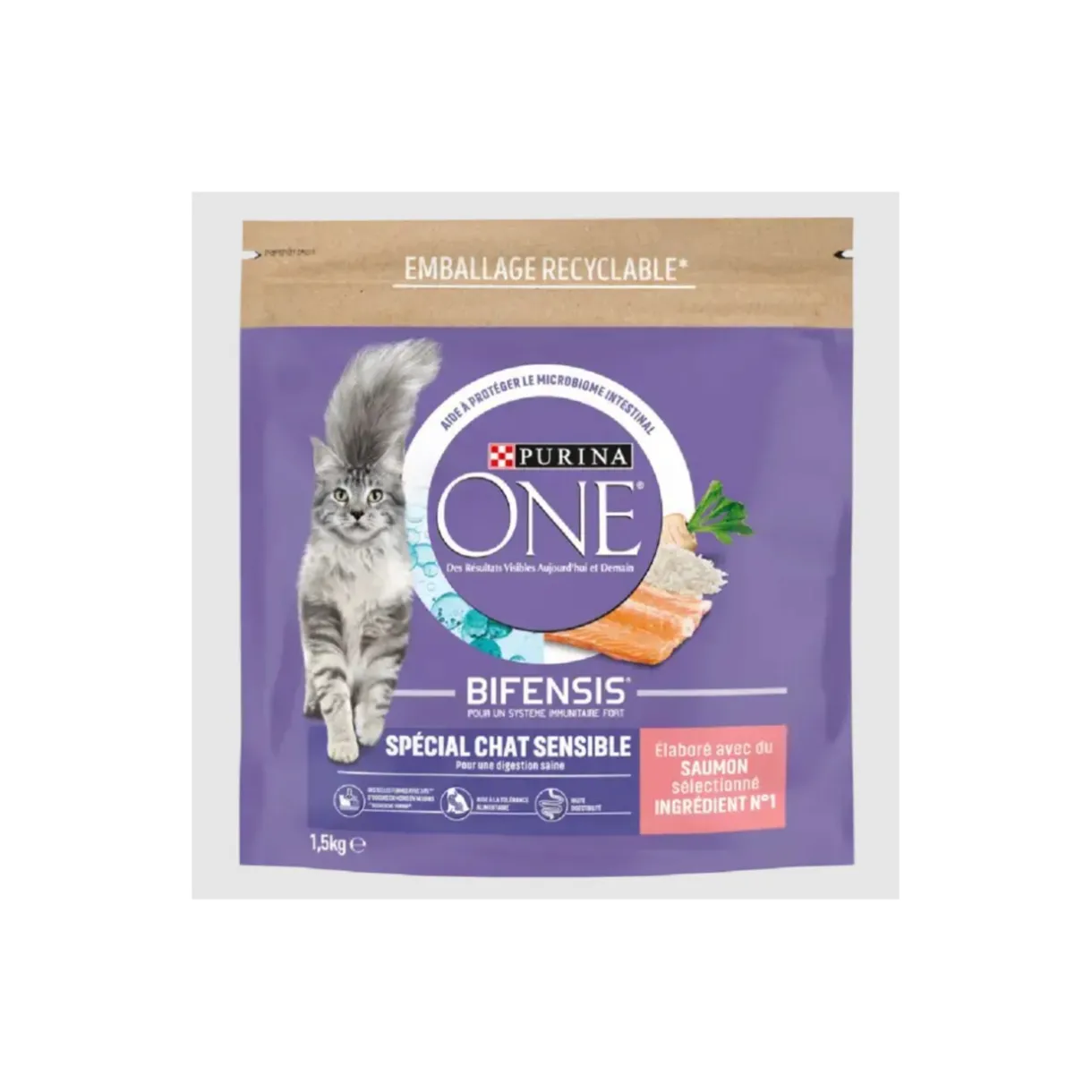 Purina ONE Croquettes Pour Chat^Croquettes pour Chat Sensible au Saumon et au Riz 1,5 kg