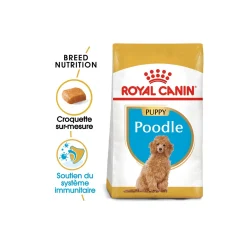 ROYAL CANIN Croquettes|Nourriture^BHN Poodle Puppy 3 kg