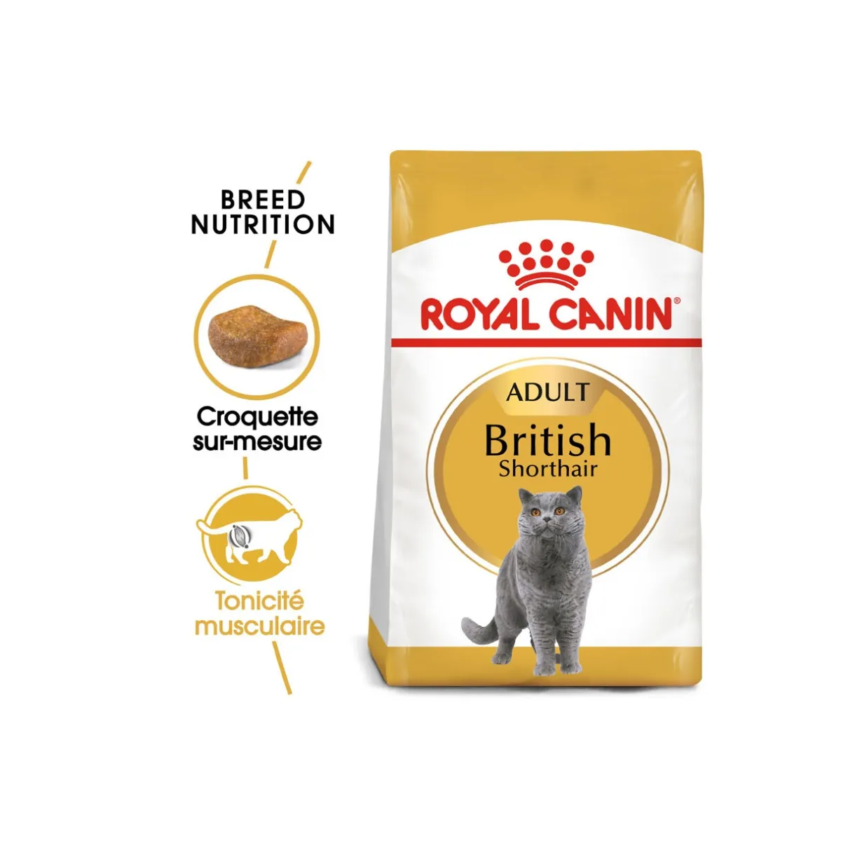 ROYAL CANIN Croquettes Pour Chat^British Shorthair Adulte Croquettes Chat 400 g