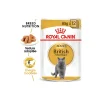 ROYAL CANIN Nourriture Humide^British Shorthair Adulte en sauce 12x85 g