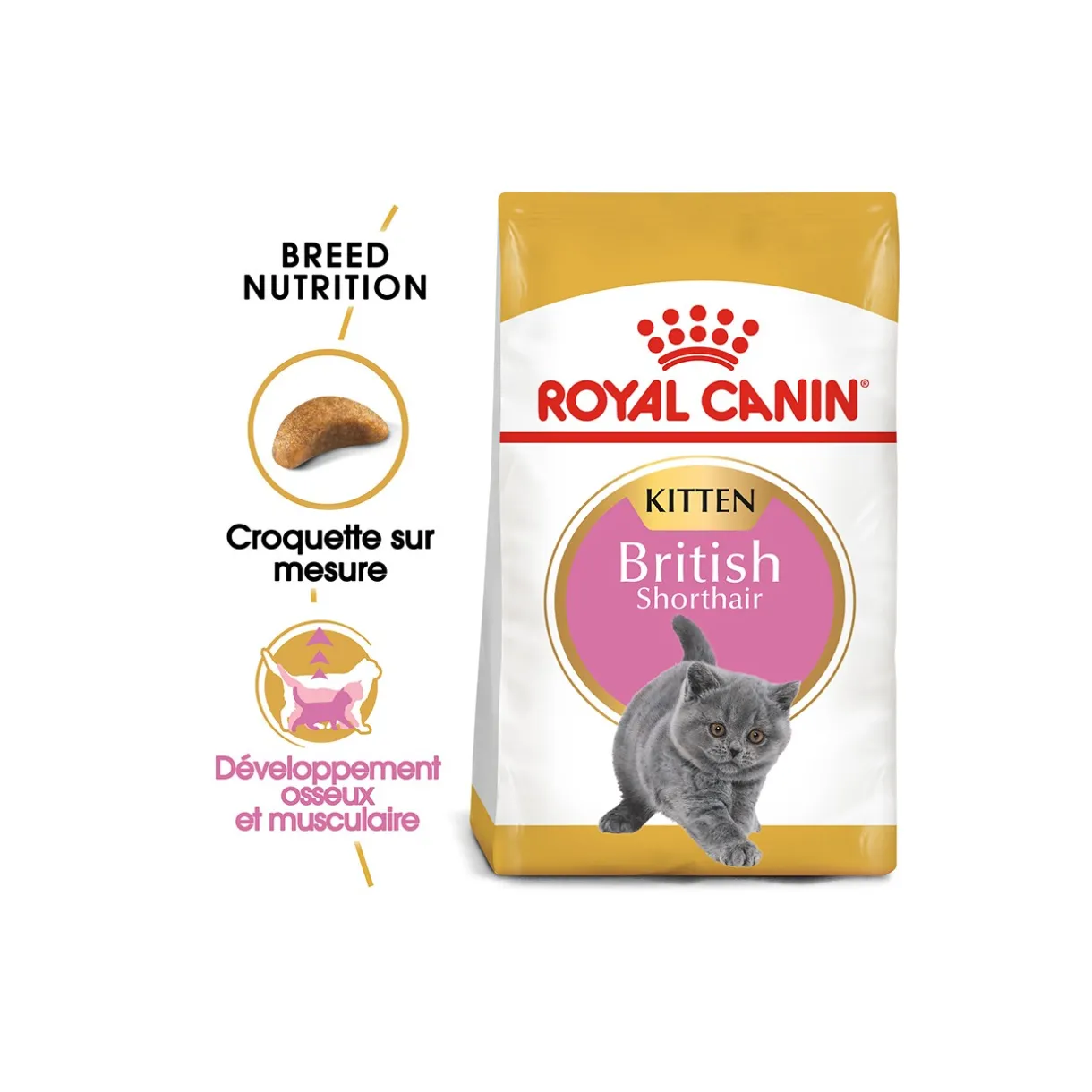 ROYAL CANIN Croquettes Pour Chat|Nourriture^British Shorthair Chaton Croquettes Chat 2 kg