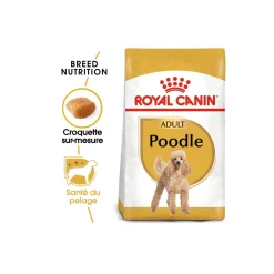 ROYAL CANIN Croquettes^Caniche Adulte Croquettes Chien 1,5 kg