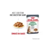 ROYAL CANIN Nourriture Humide^Care Digest Sensitive en sauce 12x85 g