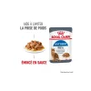 ROYAL CANIN Nourriture Humide^Care Light Weight en sauce 12x85 g