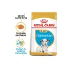 ROYAL CANIN Croquettes|Nourriture^Dalmatian Puppy 12 kg