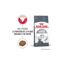 ROYAL CANIN Croquettes Pour Chat^Dental Care Croquettes Chat 400 g
