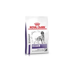 ROYAL CANIN Croquettes^Expert Dental Medium & Large Dogs 6 kg