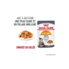 ROYAL CANIN Nourriture Humide^Hair & Skin en gelée 12x85 g