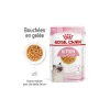 ROYAL CANIN Nourriture Humide|Nourriture^Kitten en gelée 12x85 g