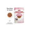 ROYAL CANIN Nourriture Humide|Nourriture^Kitten en sauce 12x85 g