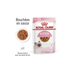 ROYAL CANIN Nourriture Humide|Nourriture^Kitten en sauce 12x85 g