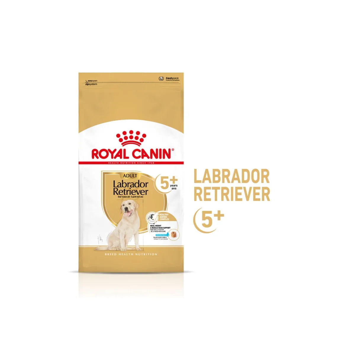 ROYAL CANIN Croquettes^Labrador Retriever 5+ Adult 12 kg