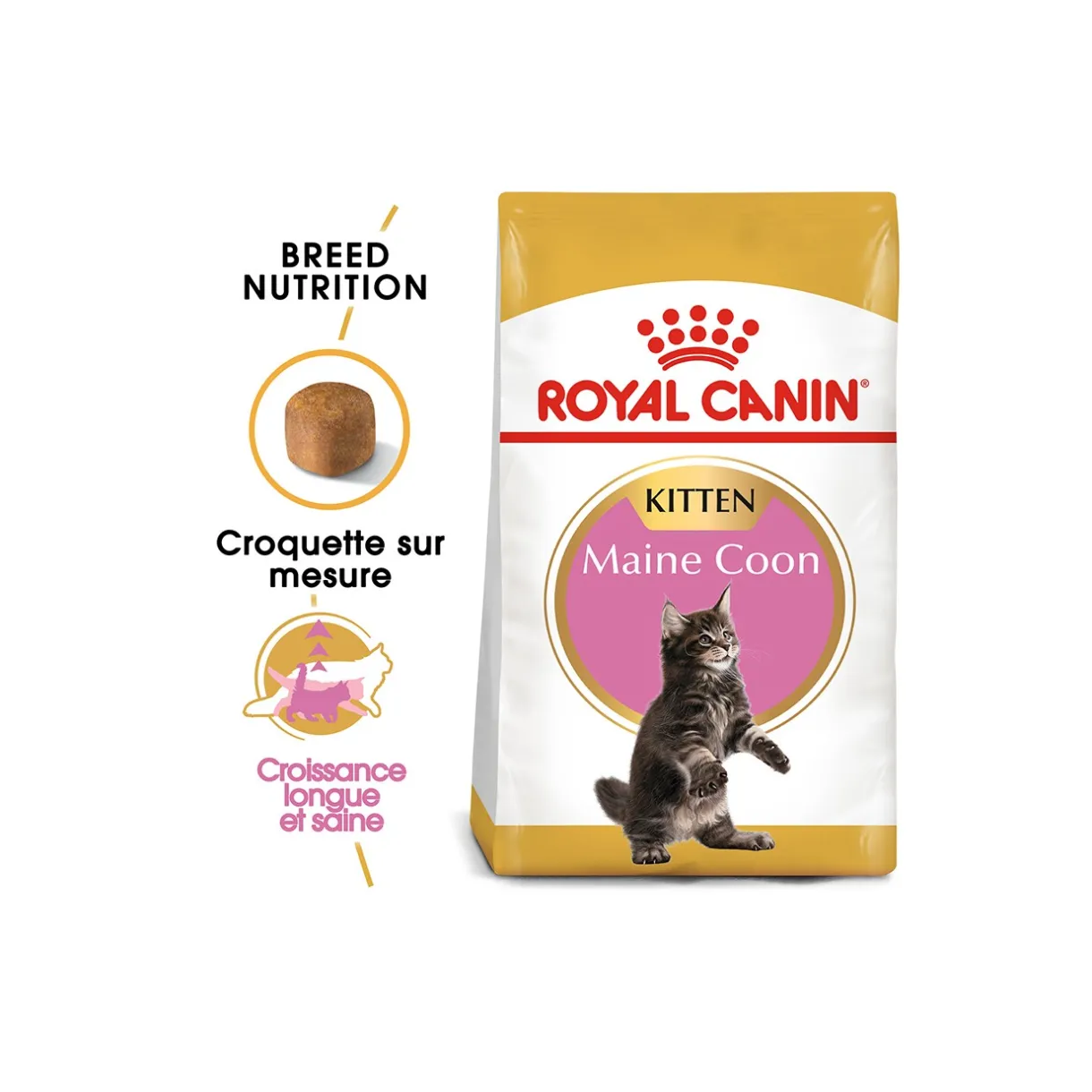ROYAL CANIN Croquettes Pour Chat|Nourriture^Maine Coon Chaton Croquettes Chat 4 kg