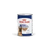 ROYAL CANIN Nourriture Humide^Maxi Ageing Mousse 12 x 410 g