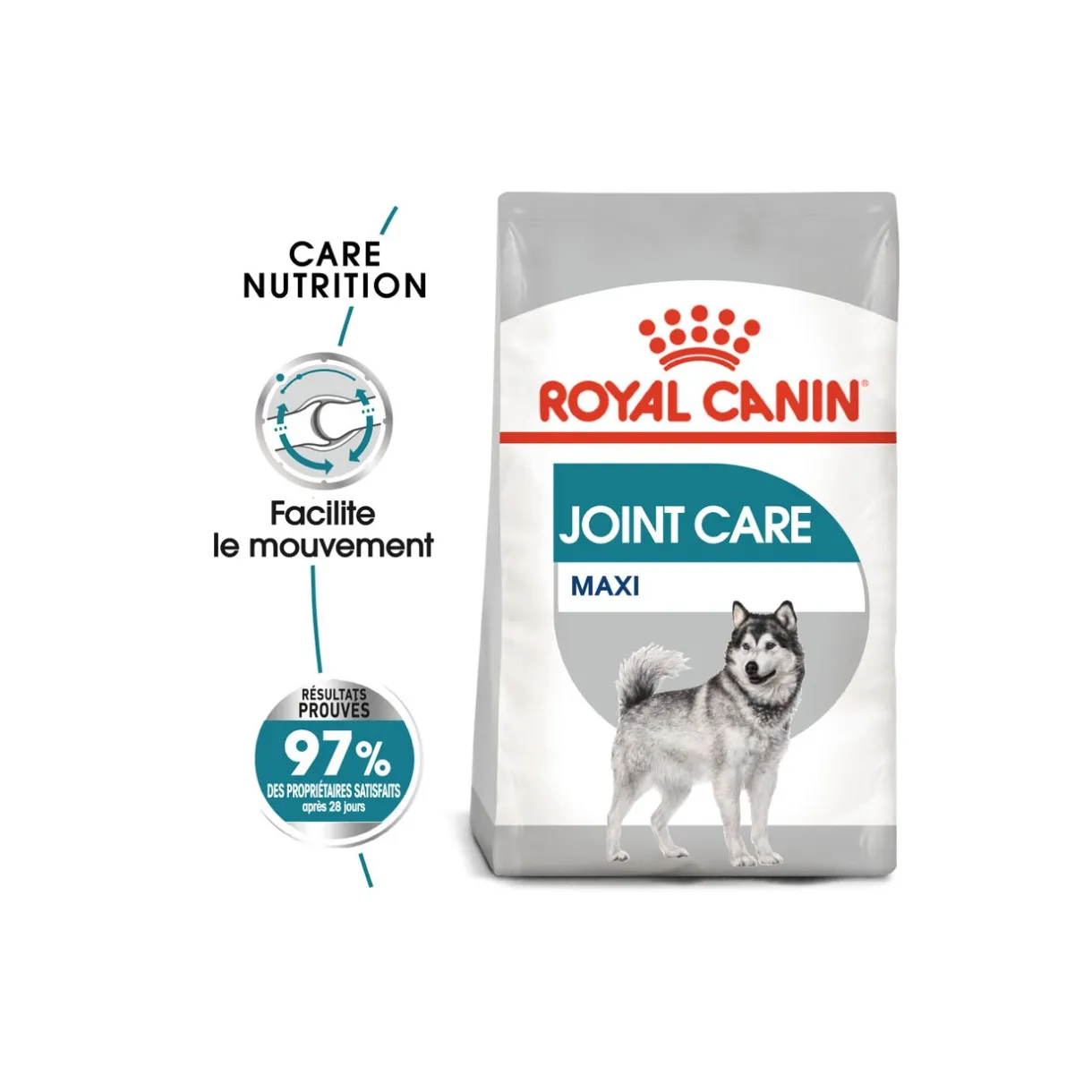 ROYAL CANIN Croquettes^Maxi Joint Care 10 kg