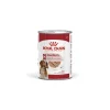ROYAL CANIN Nourriture Humide^Medium Adult Mousse 12 x 410 g