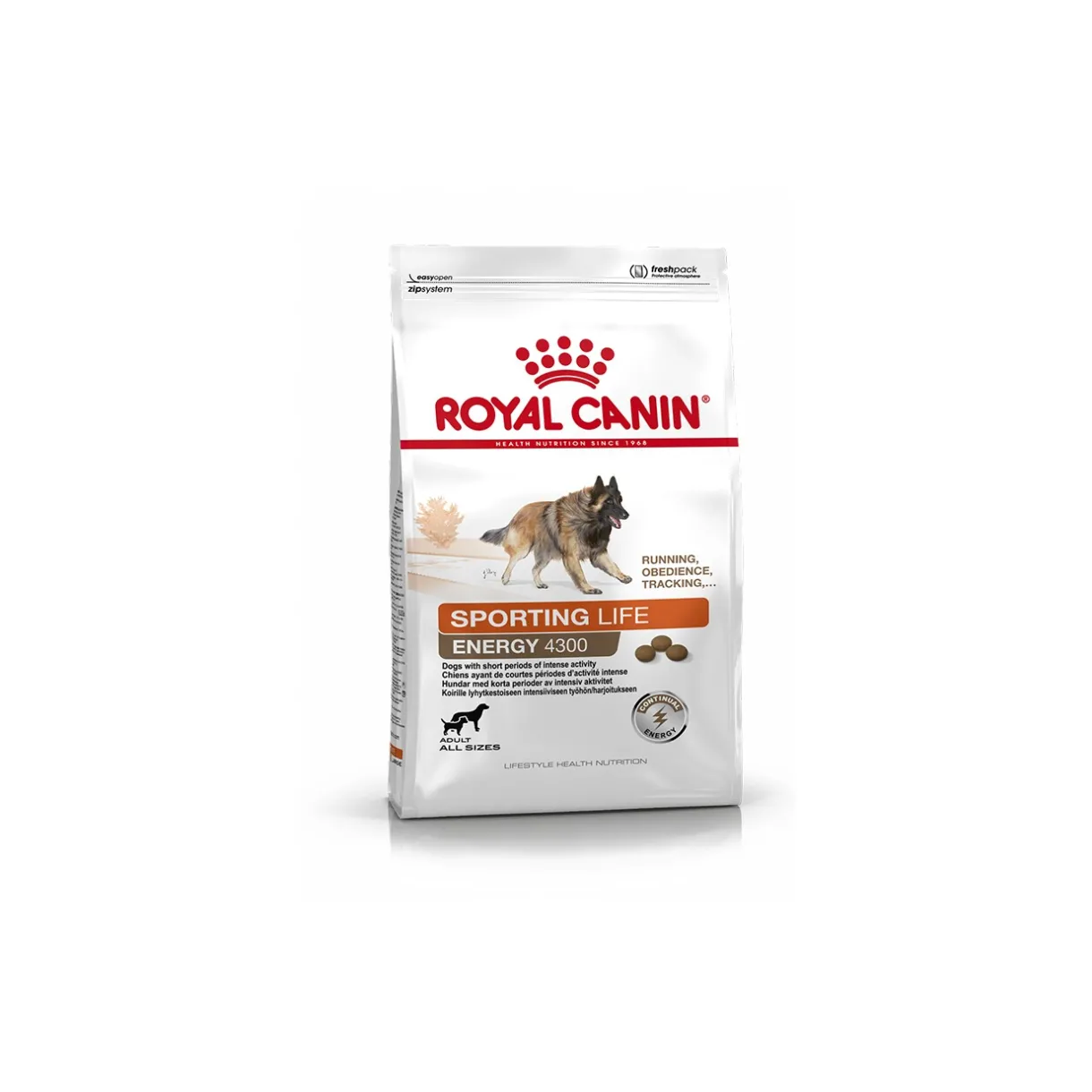 ROYAL CANIN Croquettes^ÉNERGIE 4300 (TRAIL) 15 kg