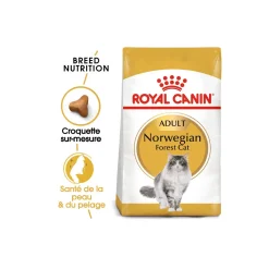 ROYAL CANIN Croquettes Pour Chat^Norvégien Adulte Croquettes Chat 400 g