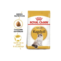 ROYAL CANIN Croquettes Pour Chat^Ragdoll Adulte Croquettes Chat 2 kg