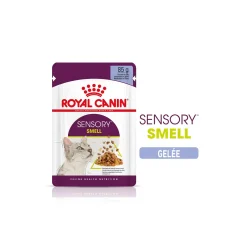 ROYAL CANIN Nourriture Humide^Sensory Smell Nourriture humide Chat 12 x 85 g