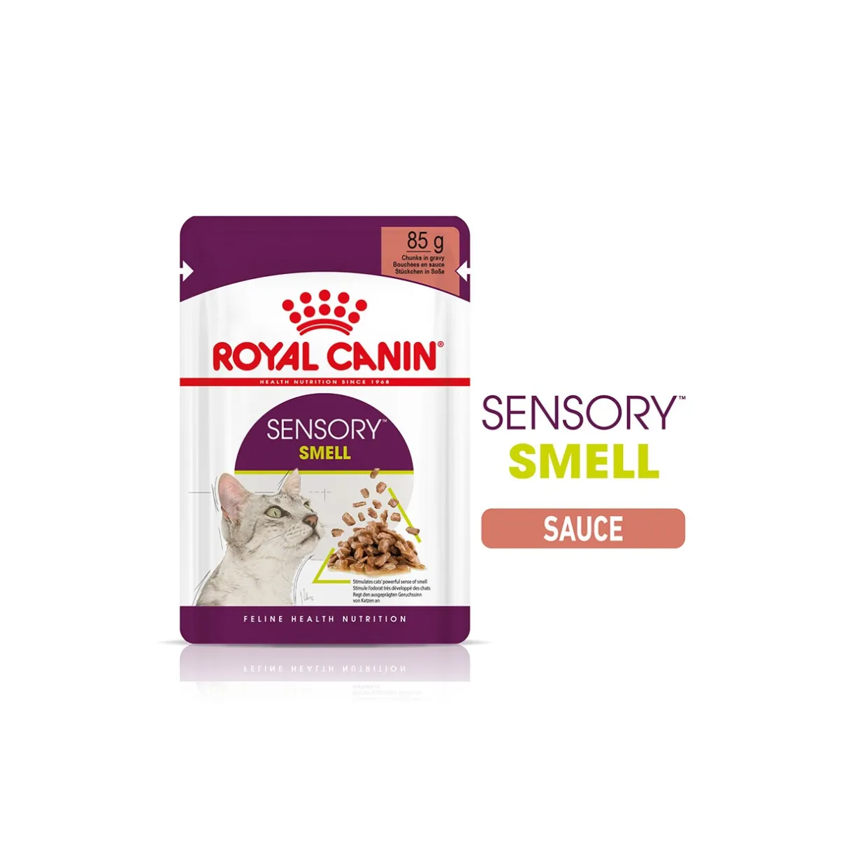 ROYAL CANIN Nourriture Humide^Sensory Smell en sauce pour chats exigeants 12x85 g