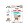 ROYAL CANIN Nourriture Humide^Urinary Care Adult Mousse 12x85 g