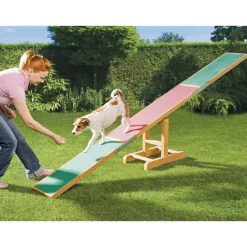 Trixie Agility^Bascule Agility