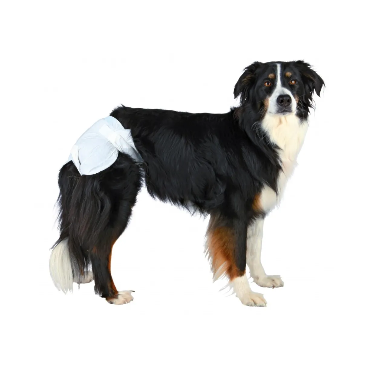 Trixie Couches Pour Chien^Couches jetables pour chiennes M 12 pcs