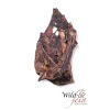 Wild & Fein Friandises^Os de bassin de chevreuil déshydraté WIFE 1 pièce